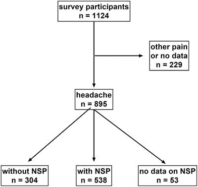 Impact of the Neck and/or Shoulder Pain on Self-reported Headache Treatment Responses – Results From a Pharmacy-Based Patient Survey